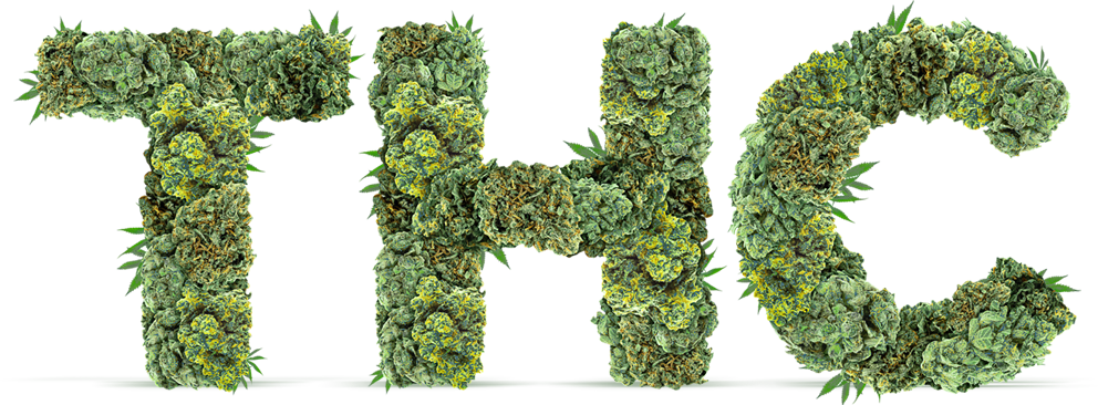 home-3-thc